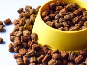 Pet Food Forum 2023: A Comprehensive Guide