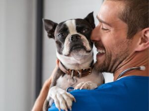 Animal Rescue: A Lifeline for Our Furry Friends