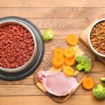 Best dry dog food brands
