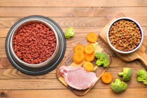 Best dry dog food brands