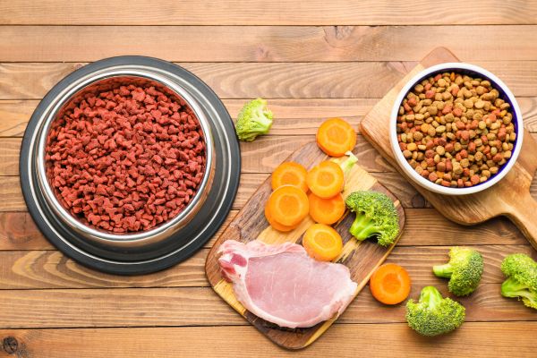 Best dry dog food brands