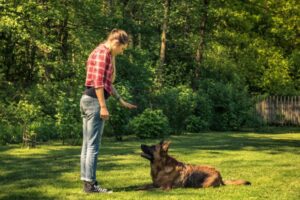 Teaching responsibility through pets