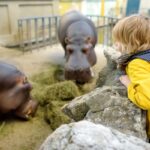 Zoo activities for children