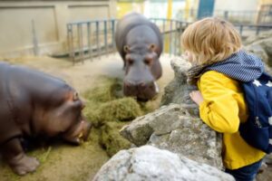 Zoo activities for children