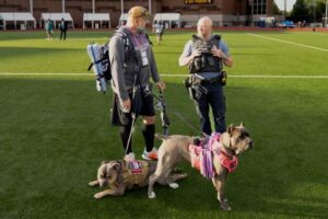 Cane Corso Training and Socialization Guide