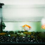 aquarium filter types